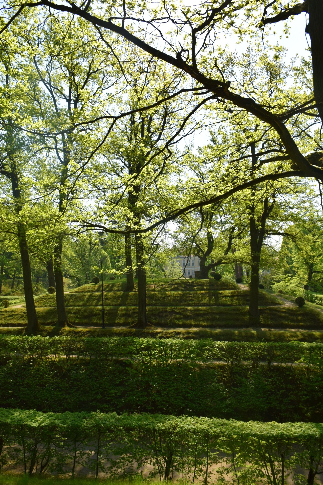 Rogalin Landscape Park