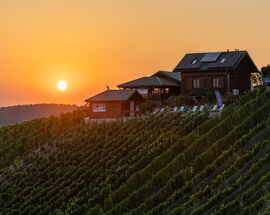 Janowice Winery