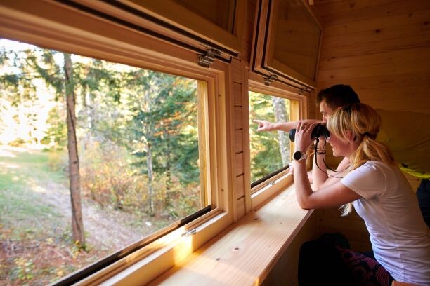 Bear Watching Snežnik