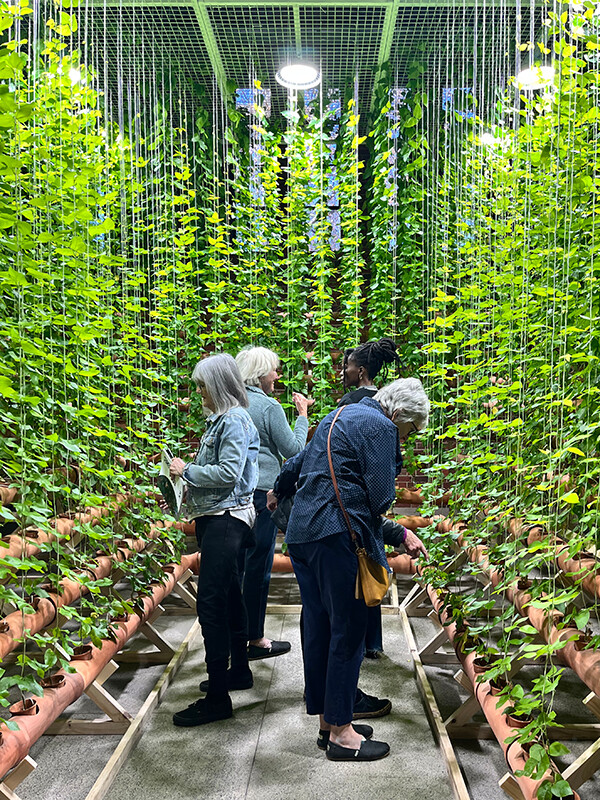 Listen to Knowledge Talks: JCAF's 'Ecospheres' podcast series