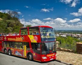 City Sightseeing hop-on hop-off Red Bus tours