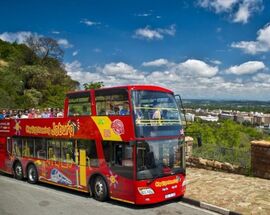 City Sightseeing Bus Sunset and Christmas Lights Tour