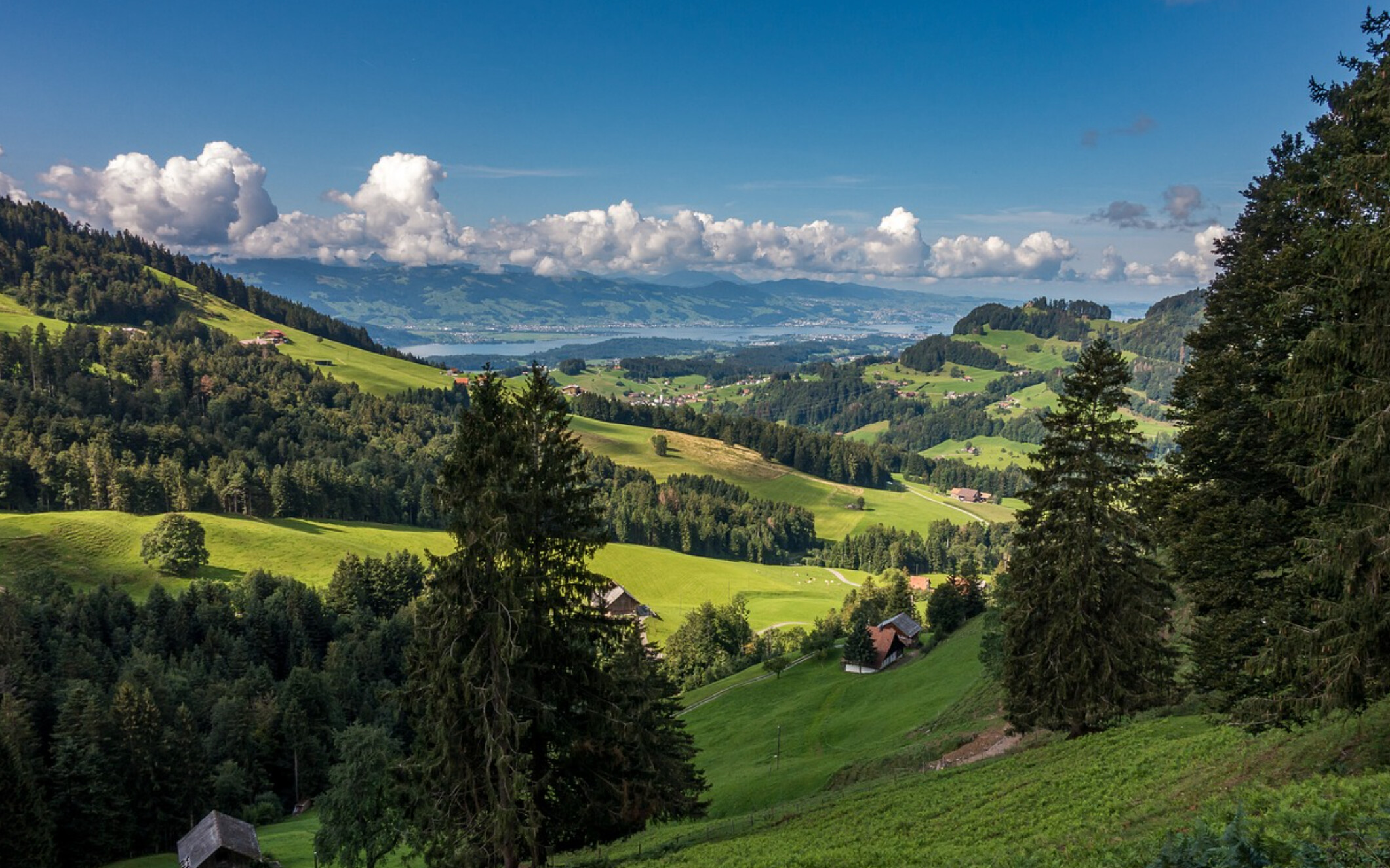 Hiking Near Zurich