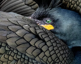 'Colours of the Natural World' Photography Exhibition