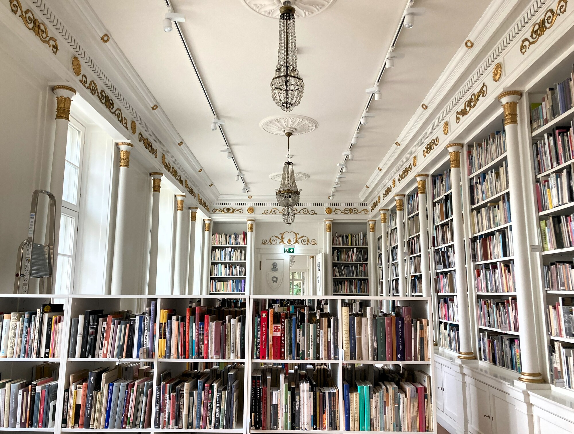 A postcard image of the Raezinski Library in Posen (now Poznań, Poland