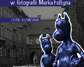 Katowickie Beboki in the Photography of Marek Foltyn