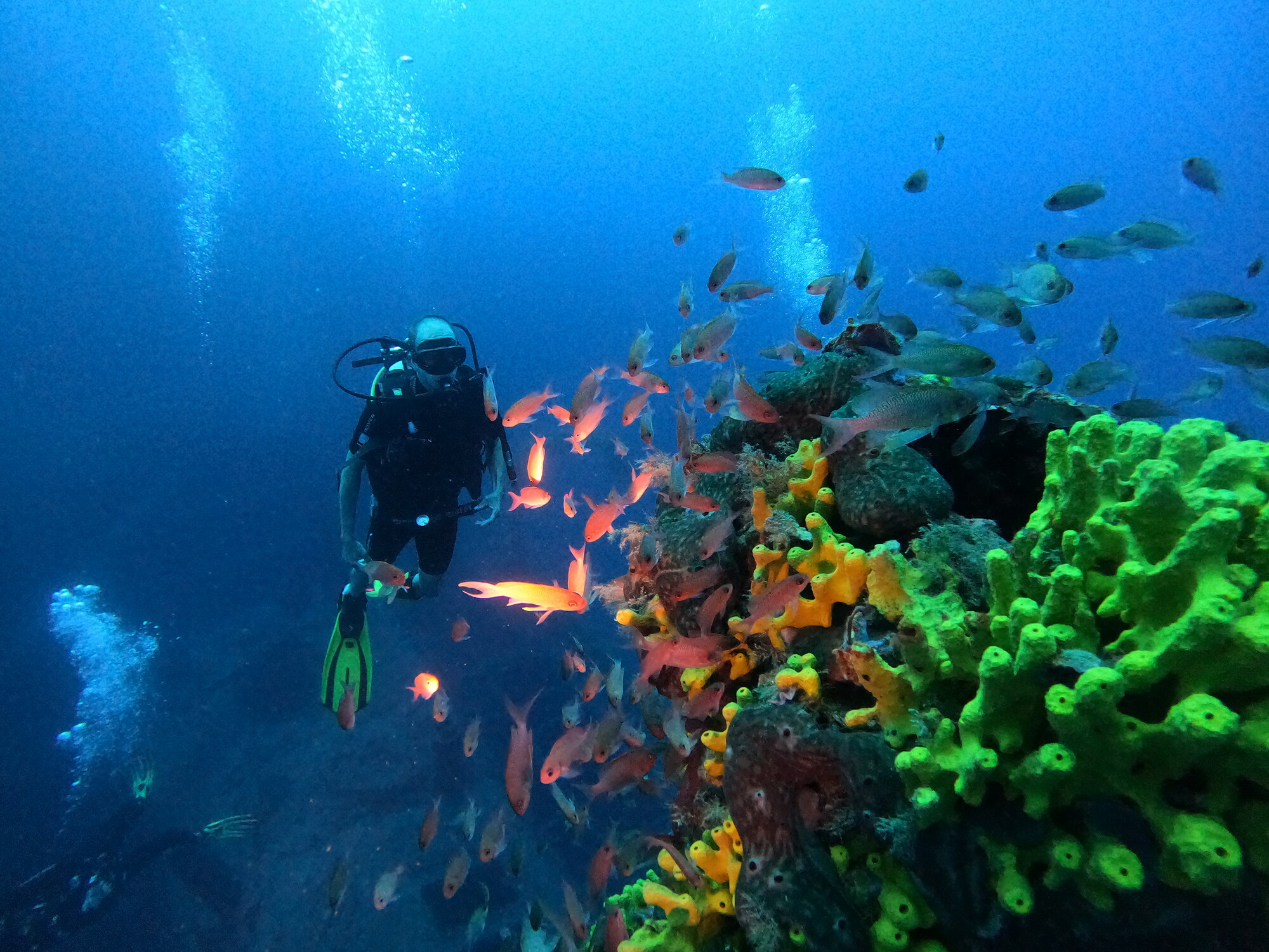 Blue Planet