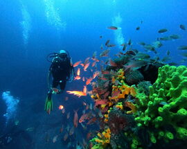 Blue Planet