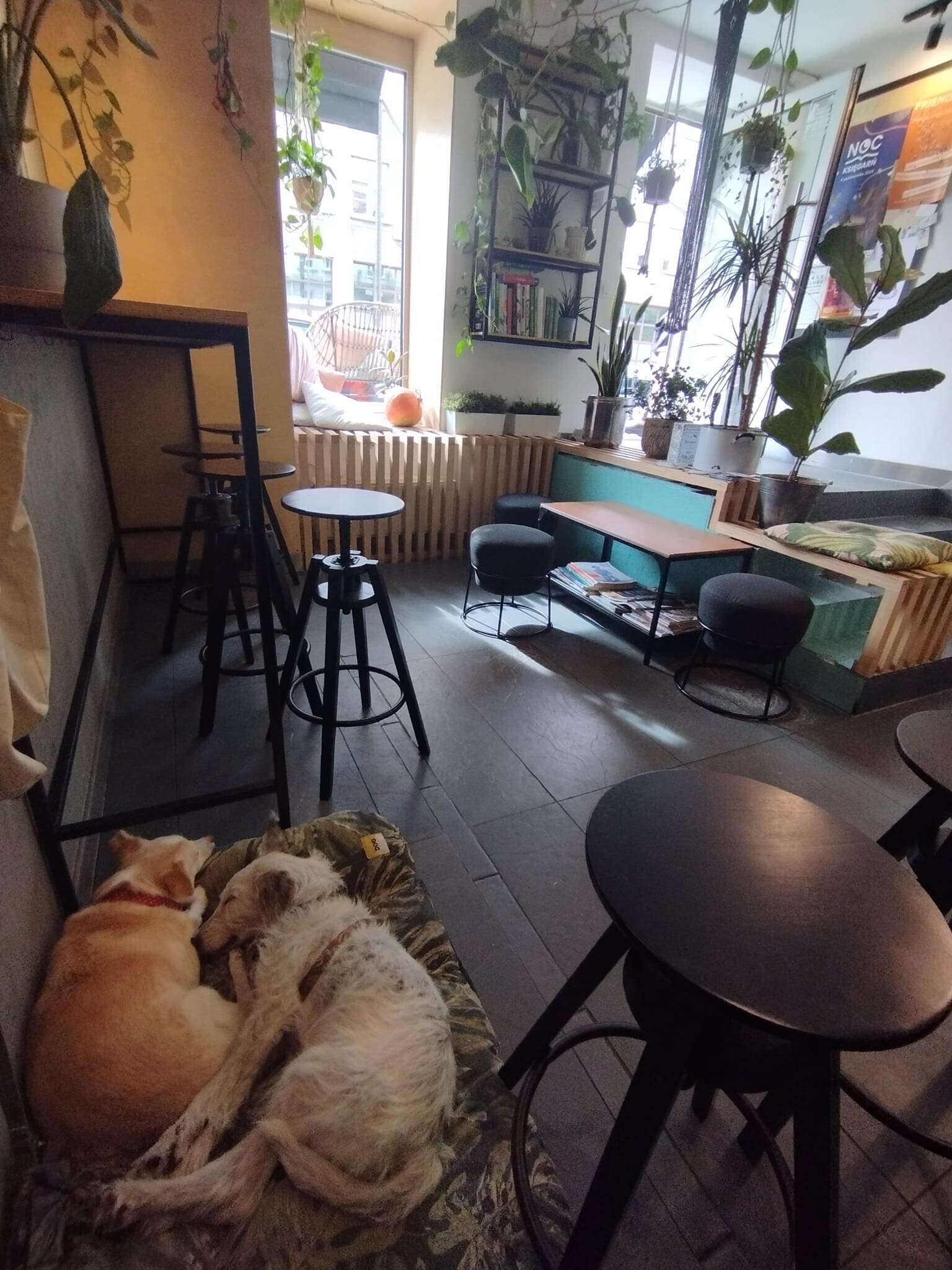 Roswell Vegan Kitchen