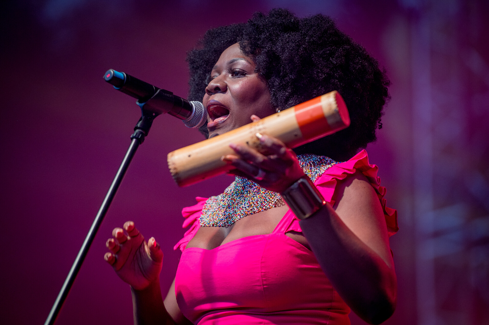 Globaltica World Cultures Festival