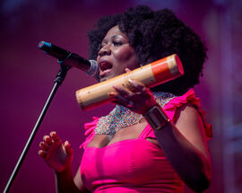 Globaltica World Cultures Festival