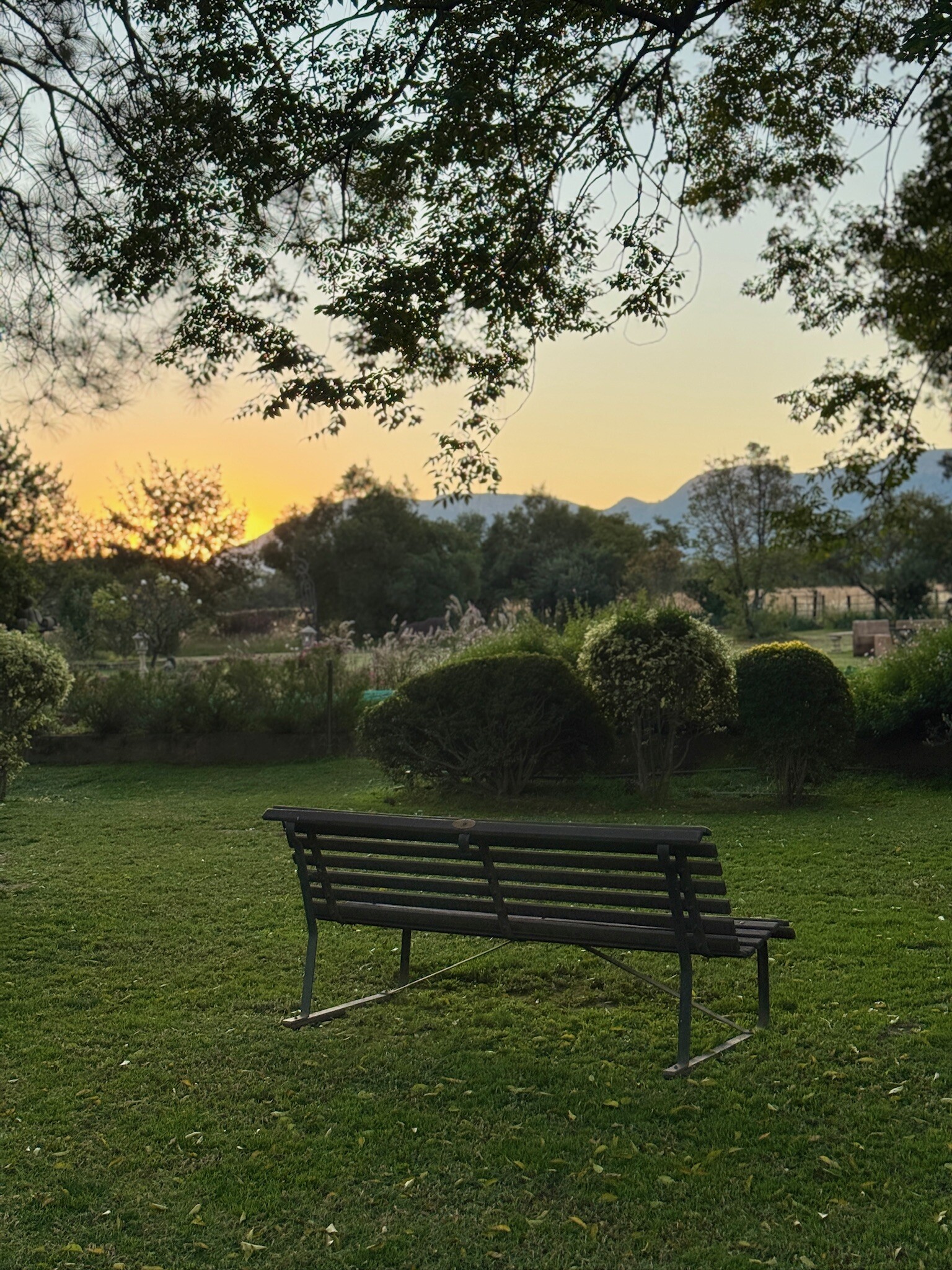 Review: Escape to stillness – A weekend at Quiet Mountain Country House