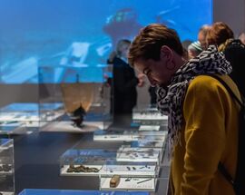 Shipwreck Mijoka – The Awakened Secret of the Murter Sea