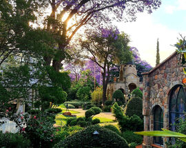 Naan Sense: The Table – An edible orchestra at Shepstone Gardens