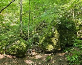Autumn Escape: Discover Papuk Nature Park – Your Gateway to Adventure and Nature in Slavonia