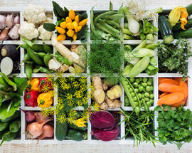ZeGeVege 