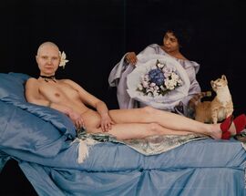 Don't Look Away. Reflections on Katarzyna Kozyra's Olympia Show