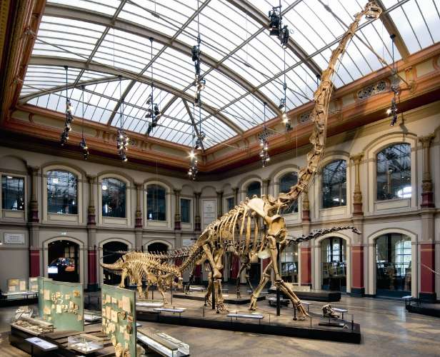 Museum für Naturkunde
