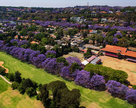 #JacarandaInYourPocket x Bastion Aviation x Four Seasons The Westcliff photowalk and helicopter ride (October 2025)