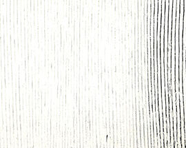 Shuffle painting loop, Lav Paripović