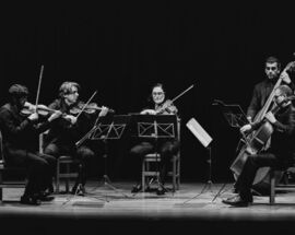 Wiener Kammersymphonie, string quintet
