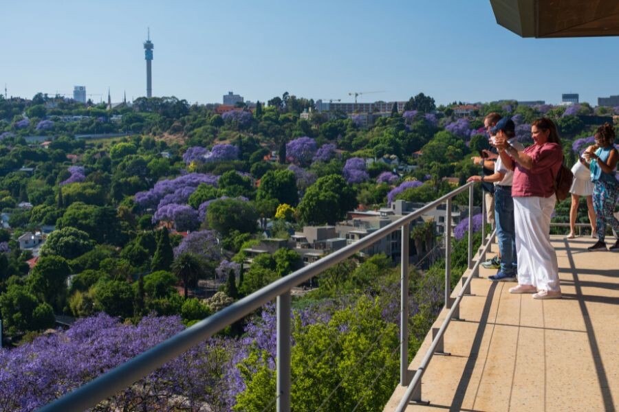 In review: Our #JacarandaInYourPocket 2025 event series