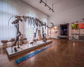 Slovenian Museum of Natural History