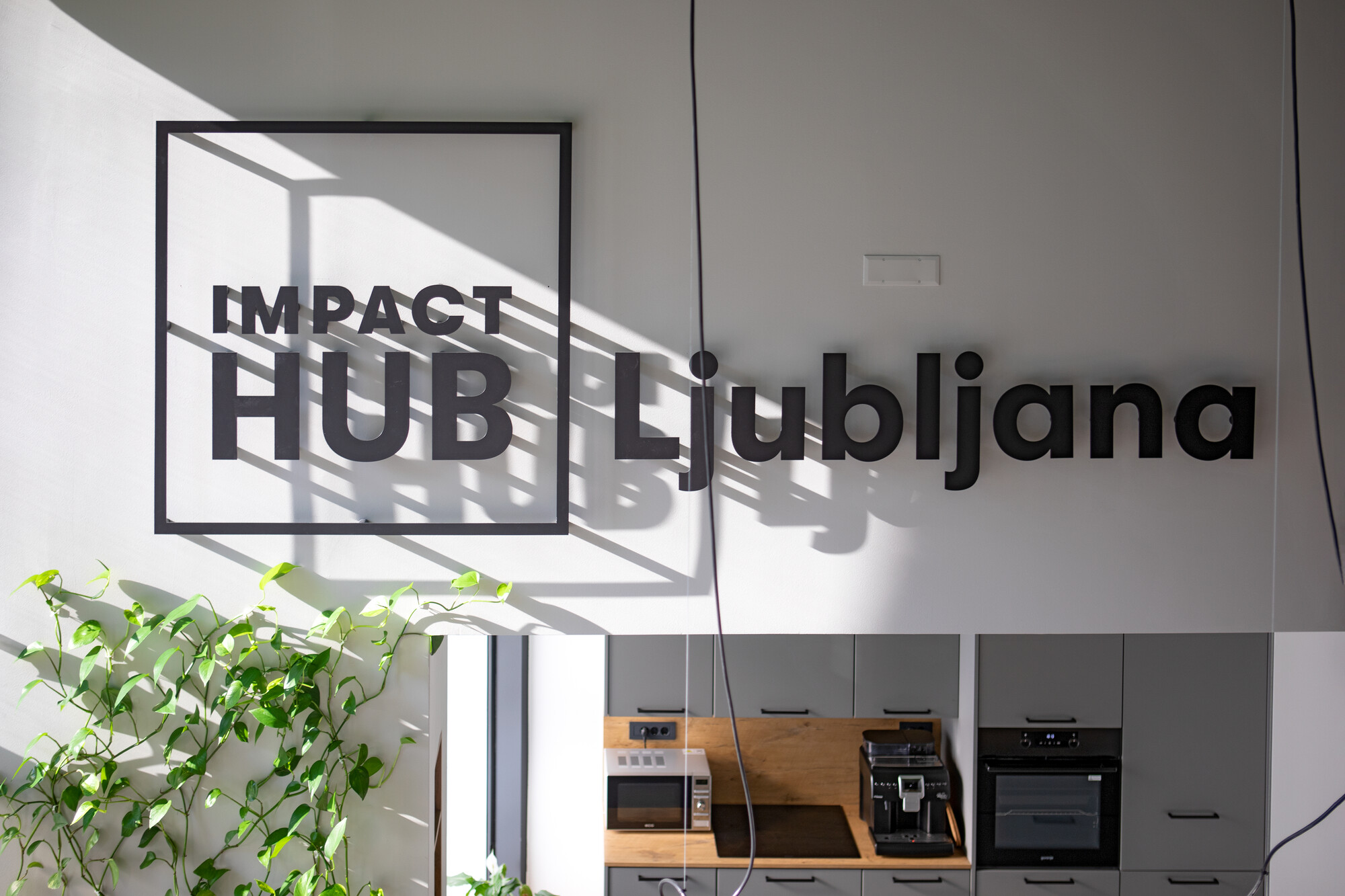 Impact Hub