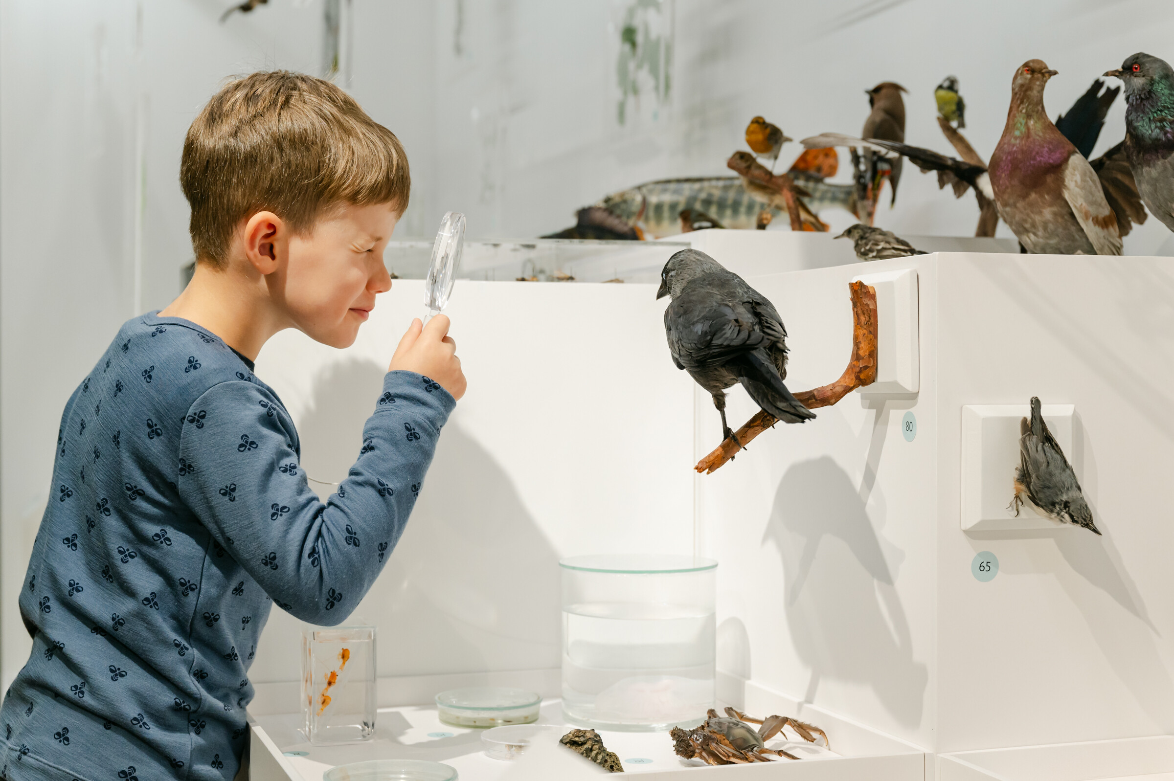 Estonian Museum of Natural History