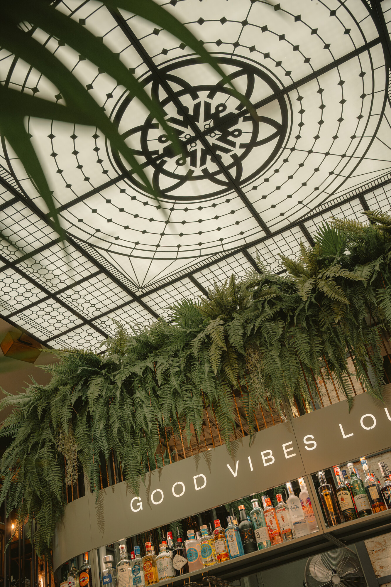 Woosabi (Good Vibes Lounge)