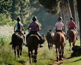 Giddy up: How to embody the Year of the Horse in Joburg