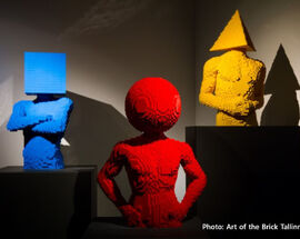 Art of the Brick