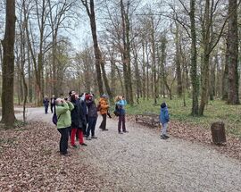 Spring Awakens: Birdwatching, Nature, and Sustainable Travel in Croatia