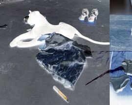  Eyes without Face, Paula Tončić