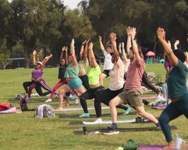 To do in Joburg – weekly events guide