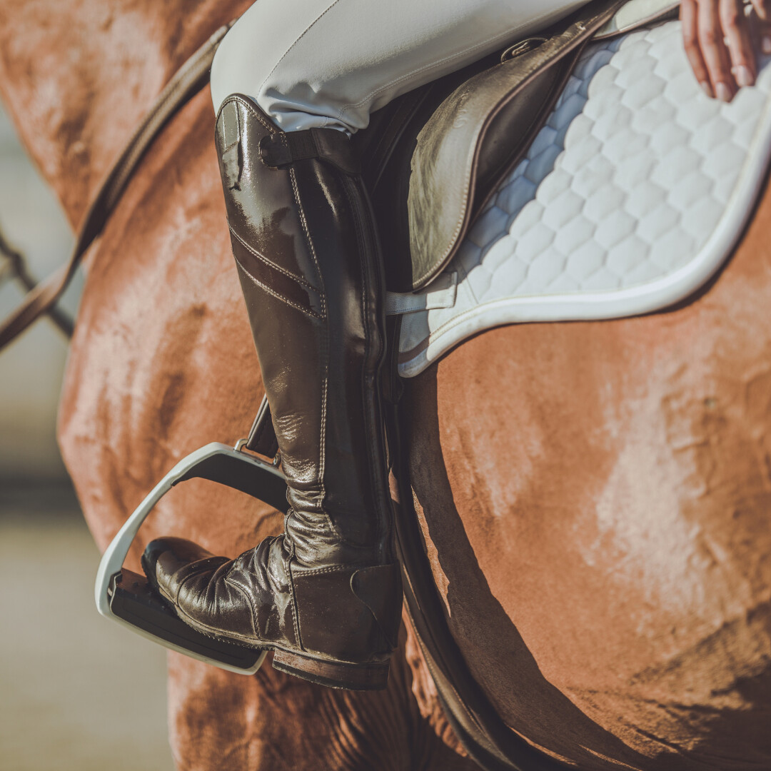 Horseback Adventures Across Croatia