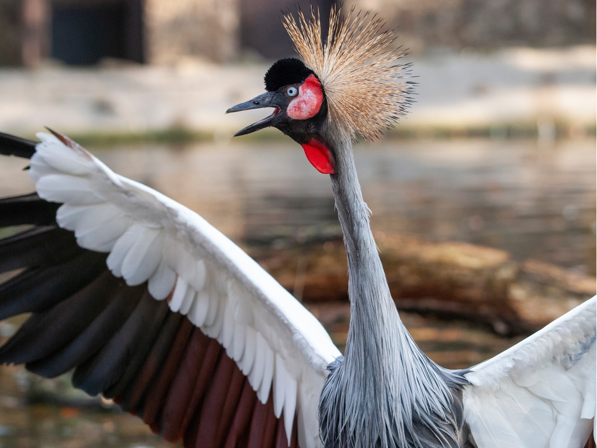 Warsaw Zoo