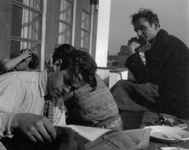 Bauhaus Ecologies – Webs of Continuity