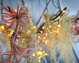 Floraart 