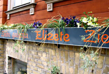 Elizete
