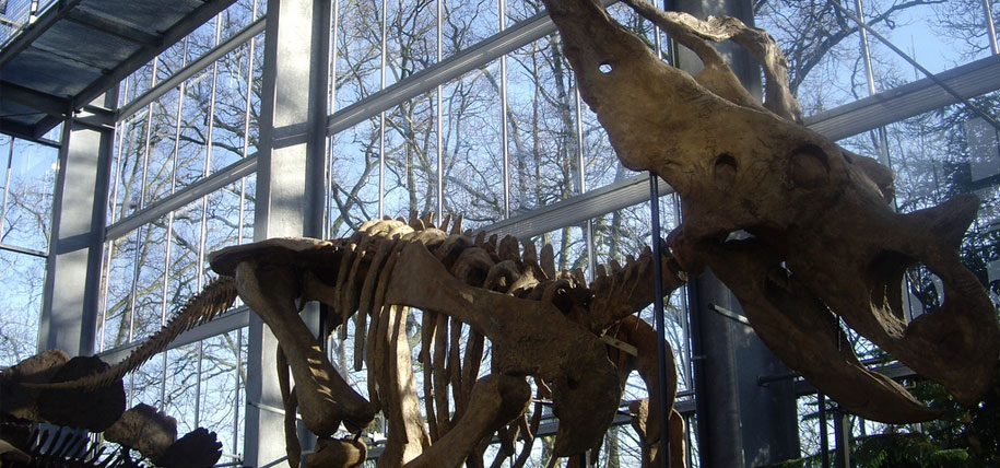 The Green Gate Prehistory Museum