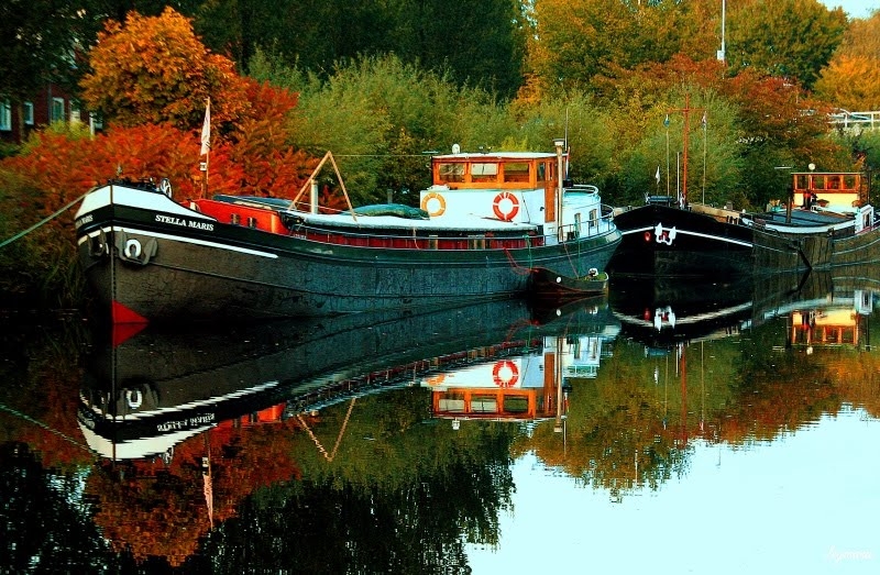 Bed op Boot Stella Maris