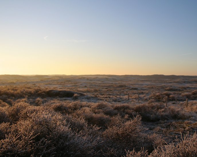 Amsterdamse Waterleidingduinen