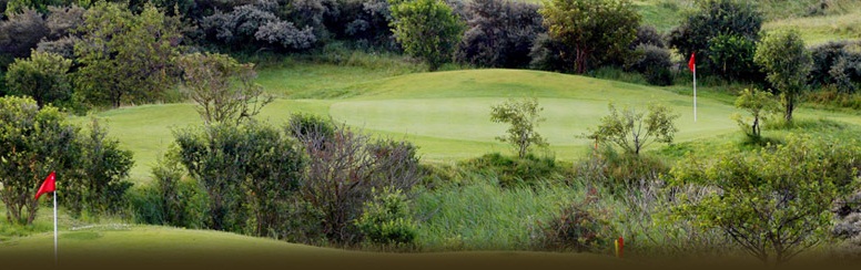 Open Golf Zandvoort
