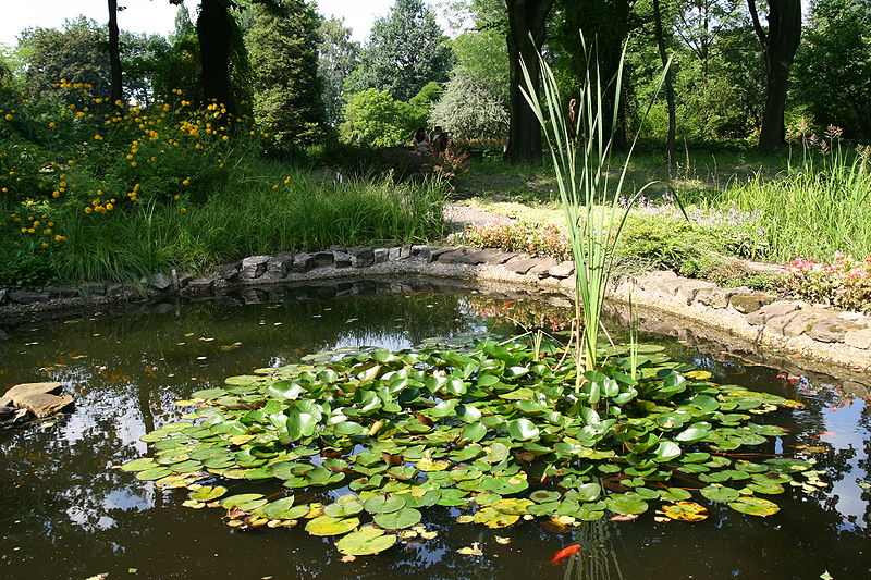 City Botanical Gardens | Zabrze | Katowice