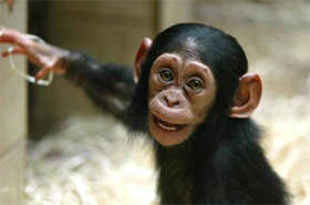 Pilsen Zoo