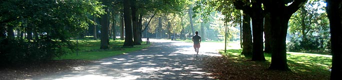 Wilhelminapark
