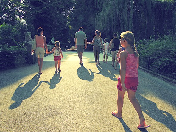 Maksimir