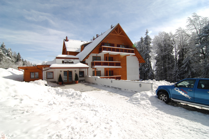 Bolfenk