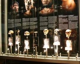 Maropeng and the Sterkfontein Caves